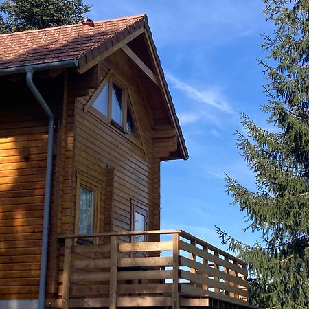 Chalet Authentique Au Calme, En Lisiere De Foret, Montagne, Sentiers 15Mn Gerardmer & Alsace "Chalet Mon Beau Sapin" Anould Eksteriør bilde