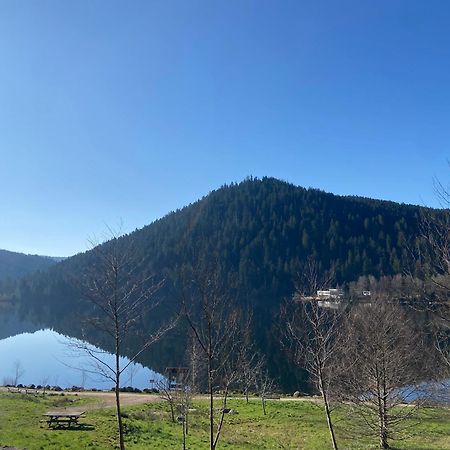 Chalet Authentique Au Calme, En Lisiere De Foret, Montagne, Sentiers 15Mn Gerardmer & Alsace "Chalet Mon Beau Sapin" Anould Eksteriør bilde