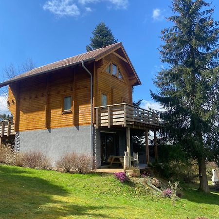 Chalet Authentique Au Calme, En Lisiere De Foret, Montagne, Sentiers 15Mn Gerardmer & Alsace "Chalet Mon Beau Sapin" Anould Eksteriør bilde