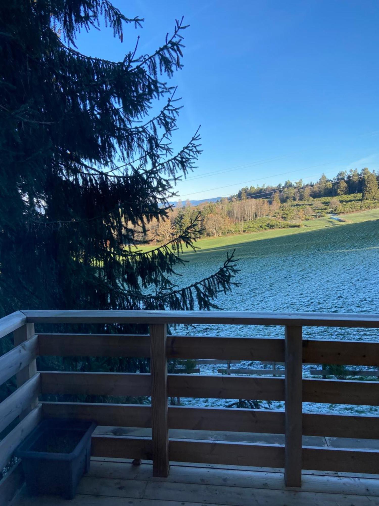 Chalet Authentique Au Calme, En Lisiere De Foret, Montagne, Sentiers 15Mn Gerardmer & Alsace "Chalet Mon Beau Sapin" Anould Eksteriør bilde