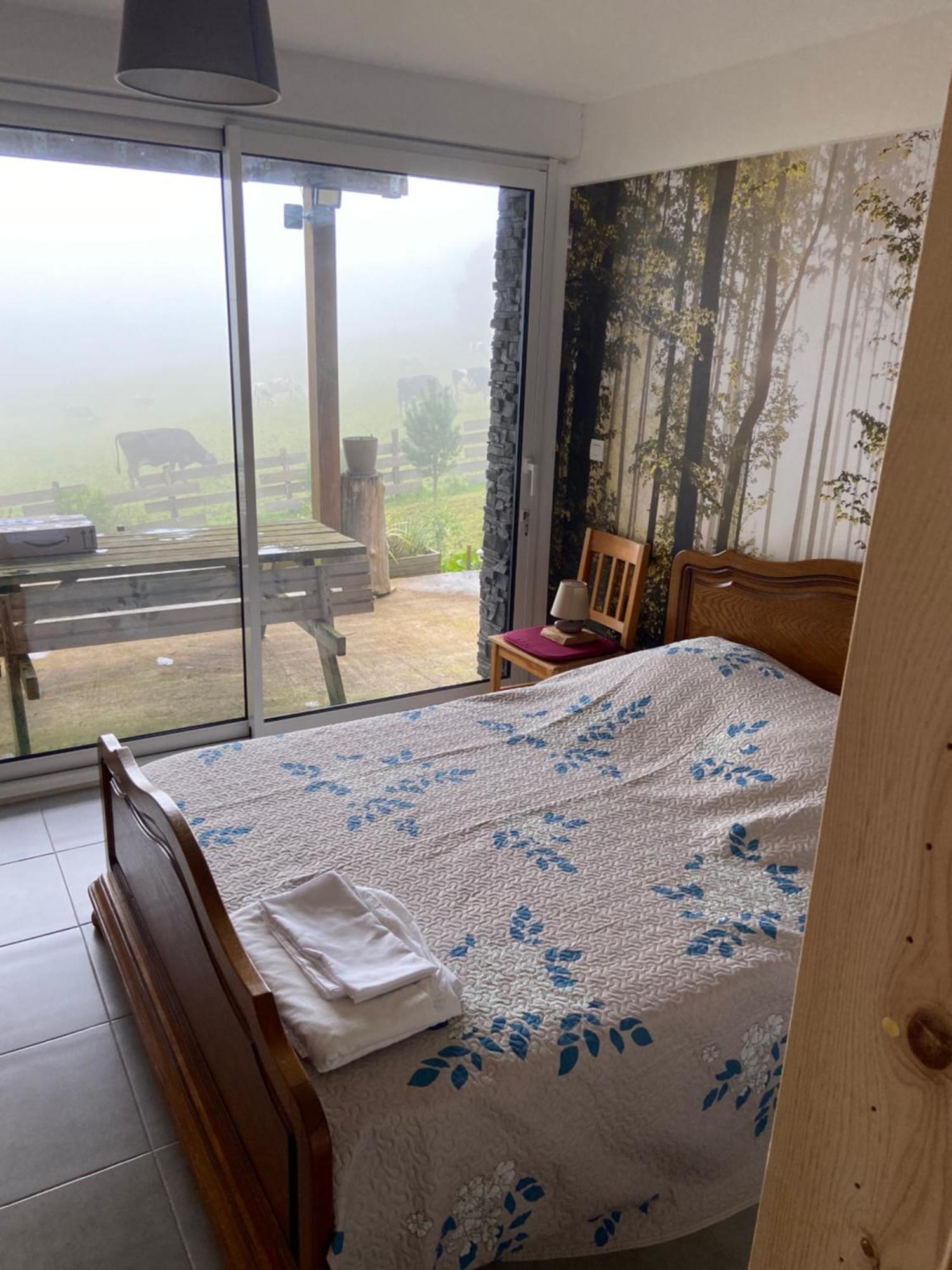 Chalet Authentique Au Calme, En Lisiere De Foret, Montagne, Sentiers 15Mn Gerardmer & Alsace "Chalet Mon Beau Sapin" Anould Eksteriør bilde