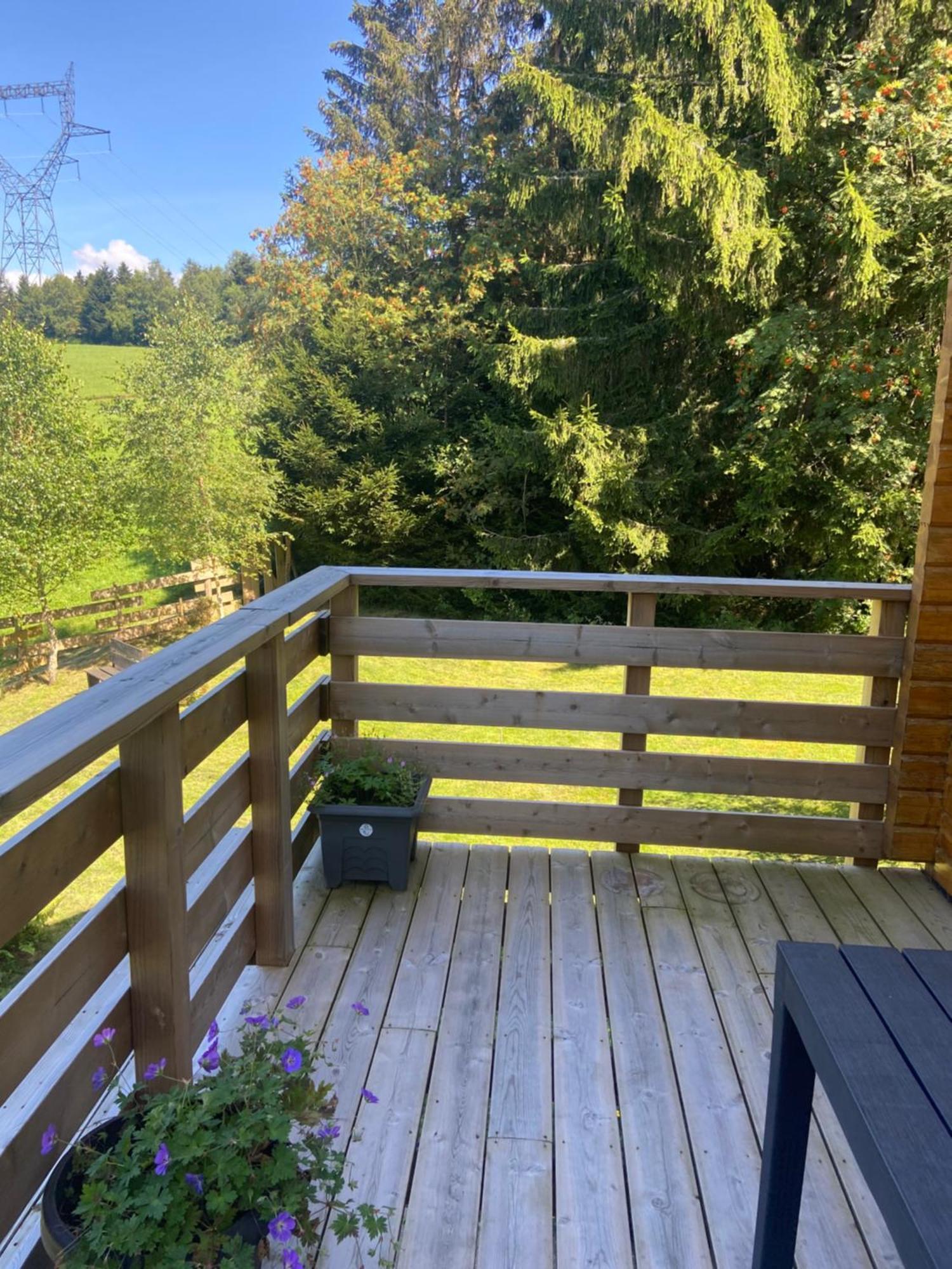 Chalet Authentique Au Calme, En Lisiere De Foret, Montagne, Sentiers 15Mn Gerardmer & Alsace "Chalet Mon Beau Sapin" Anould Eksteriør bilde