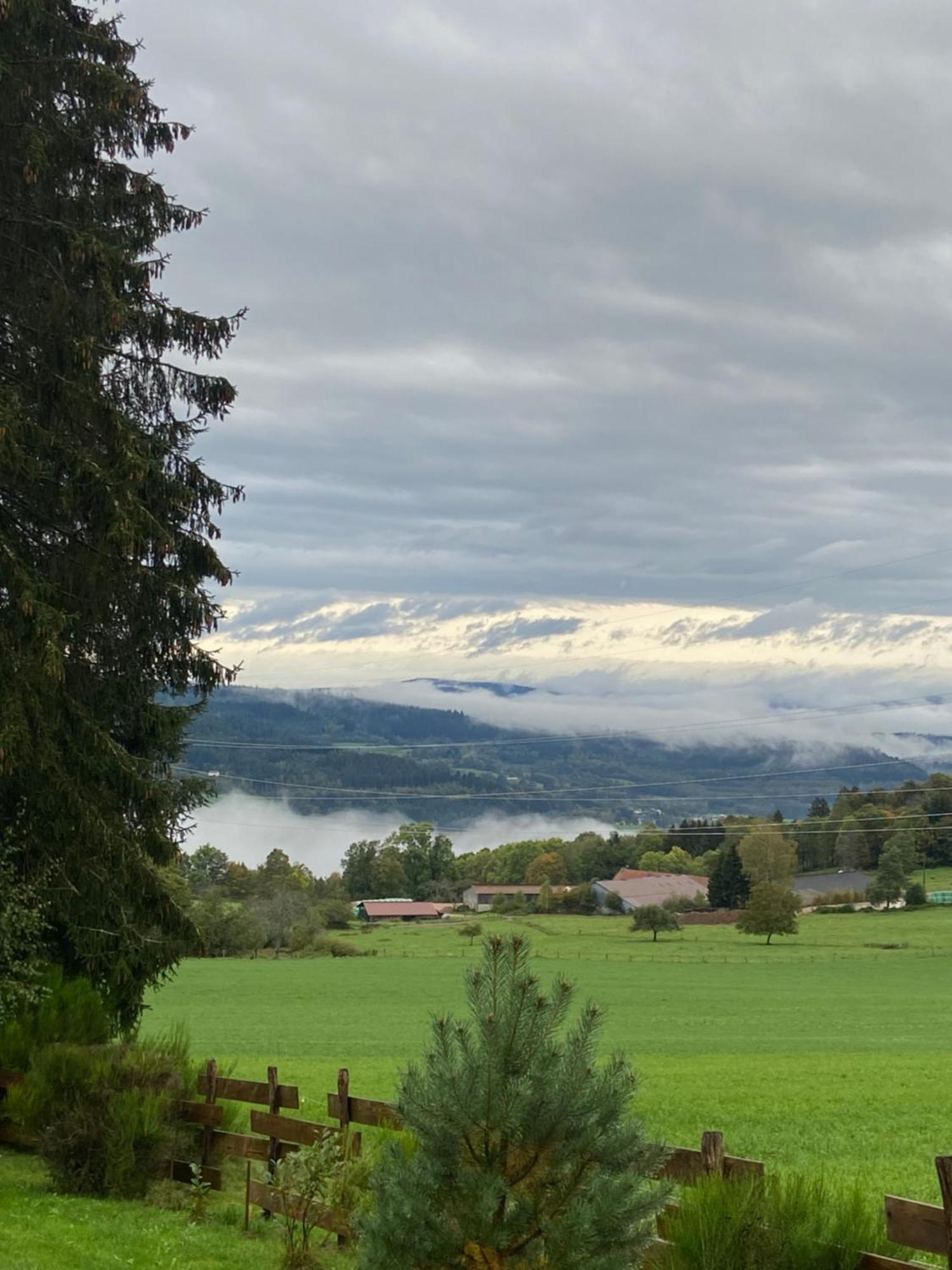 Chalet Authentique Au Calme, En Lisiere De Foret, Montagne, Sentiers 15Mn Gerardmer & Alsace "Chalet Mon Beau Sapin" Anould Eksteriør bilde