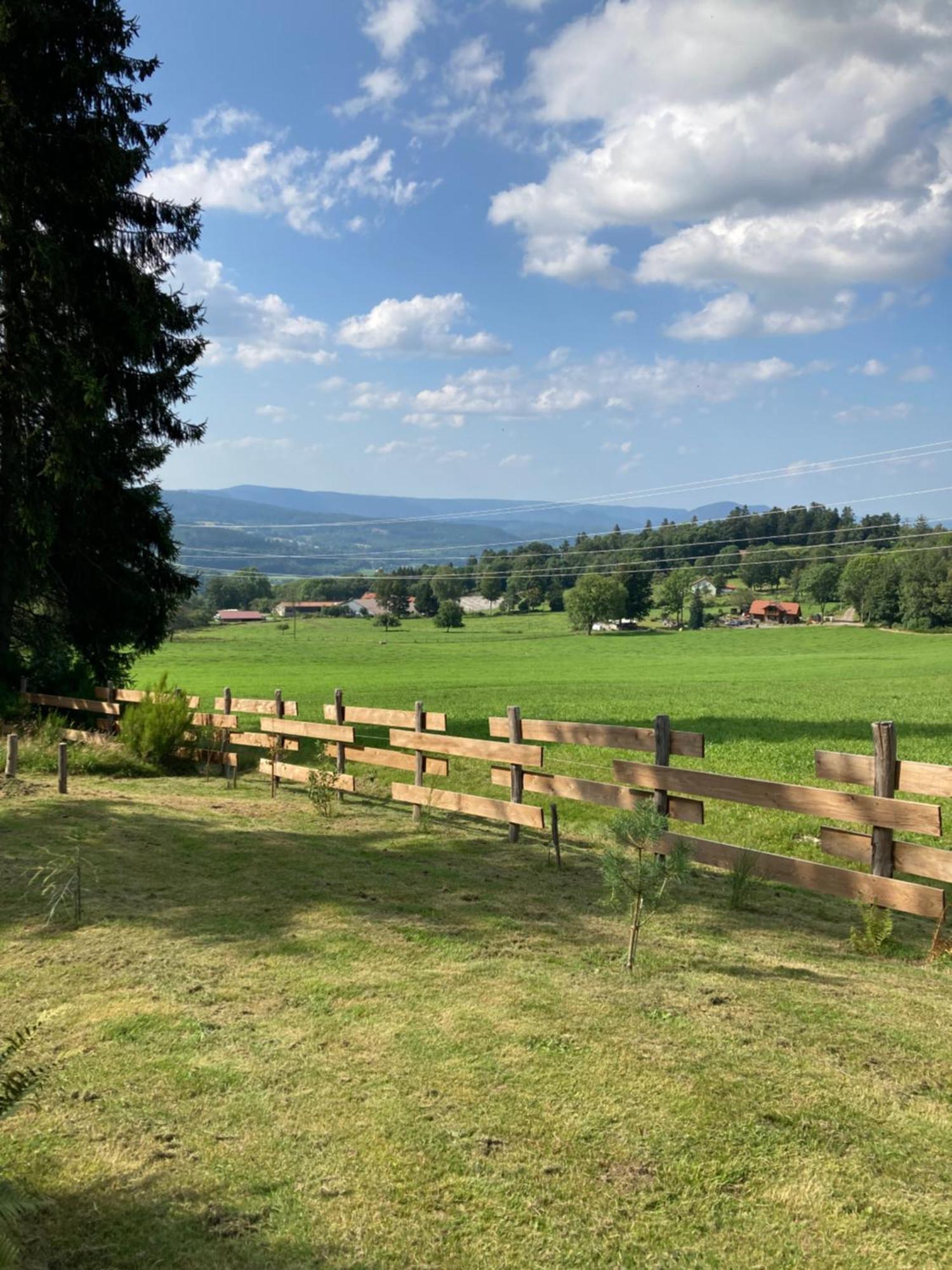 Chalet Authentique Au Calme, En Lisiere De Foret, Montagne, Sentiers 15Mn Gerardmer & Alsace "Chalet Mon Beau Sapin" Anould Eksteriør bilde