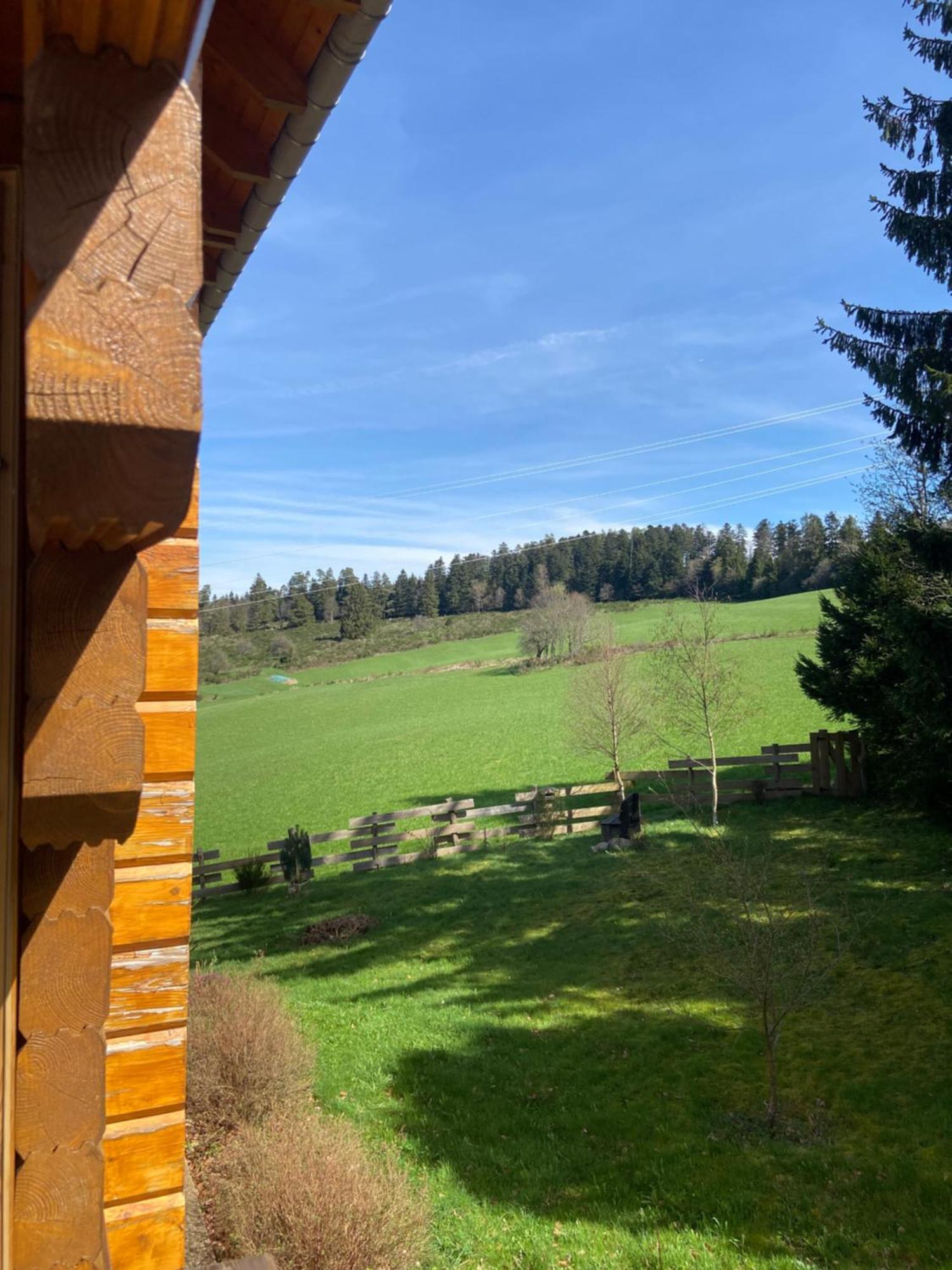 Chalet Authentique Au Calme, En Lisiere De Foret, Montagne, Sentiers 15Mn Gerardmer & Alsace "Chalet Mon Beau Sapin" Anould Eksteriør bilde