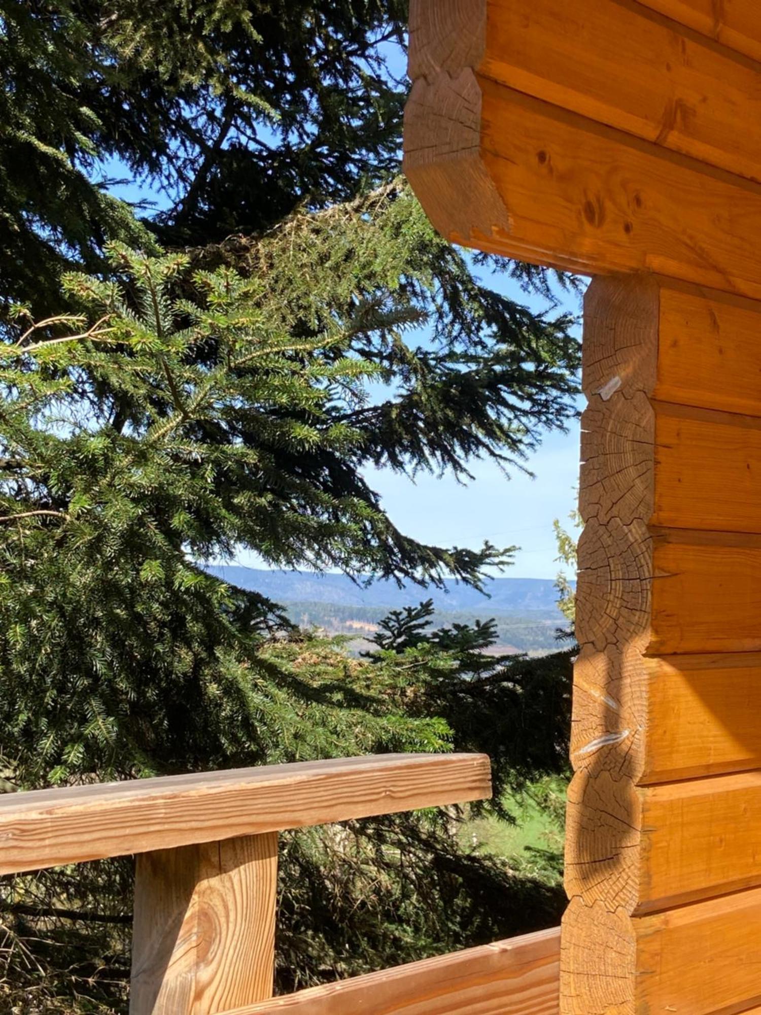 Chalet Authentique Au Calme, En Lisiere De Foret, Montagne, Sentiers 15Mn Gerardmer & Alsace "Chalet Mon Beau Sapin" Anould Eksteriør bilde