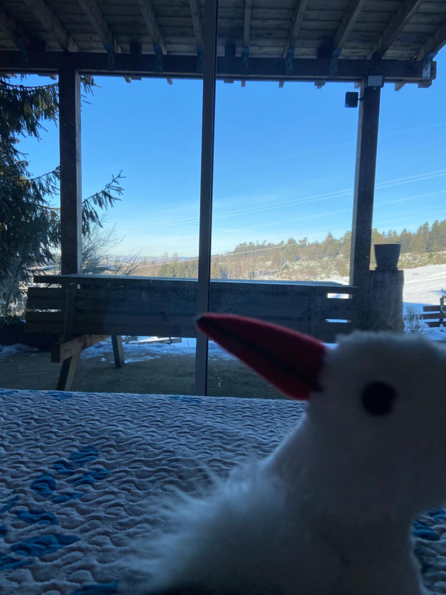 Chalet Authentique Au Calme, En Lisiere De Foret, Montagne, Sentiers 15Mn Gerardmer & Alsace "Chalet Mon Beau Sapin" Anould Eksteriør bilde