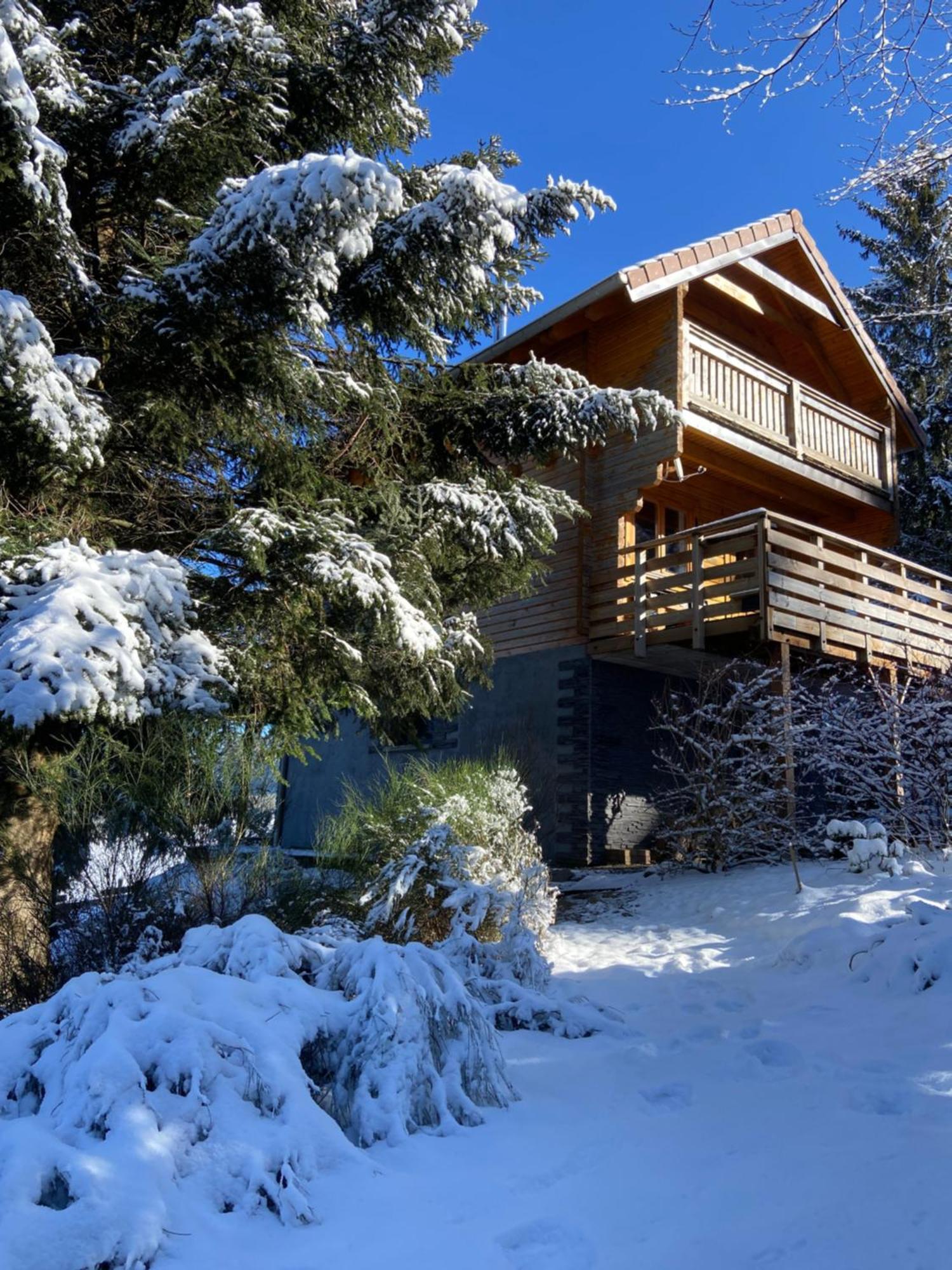 Chalet Authentique Au Calme, En Lisiere De Foret, Montagne, Sentiers 15Mn Gerardmer & Alsace "Chalet Mon Beau Sapin" Anould Eksteriør bilde