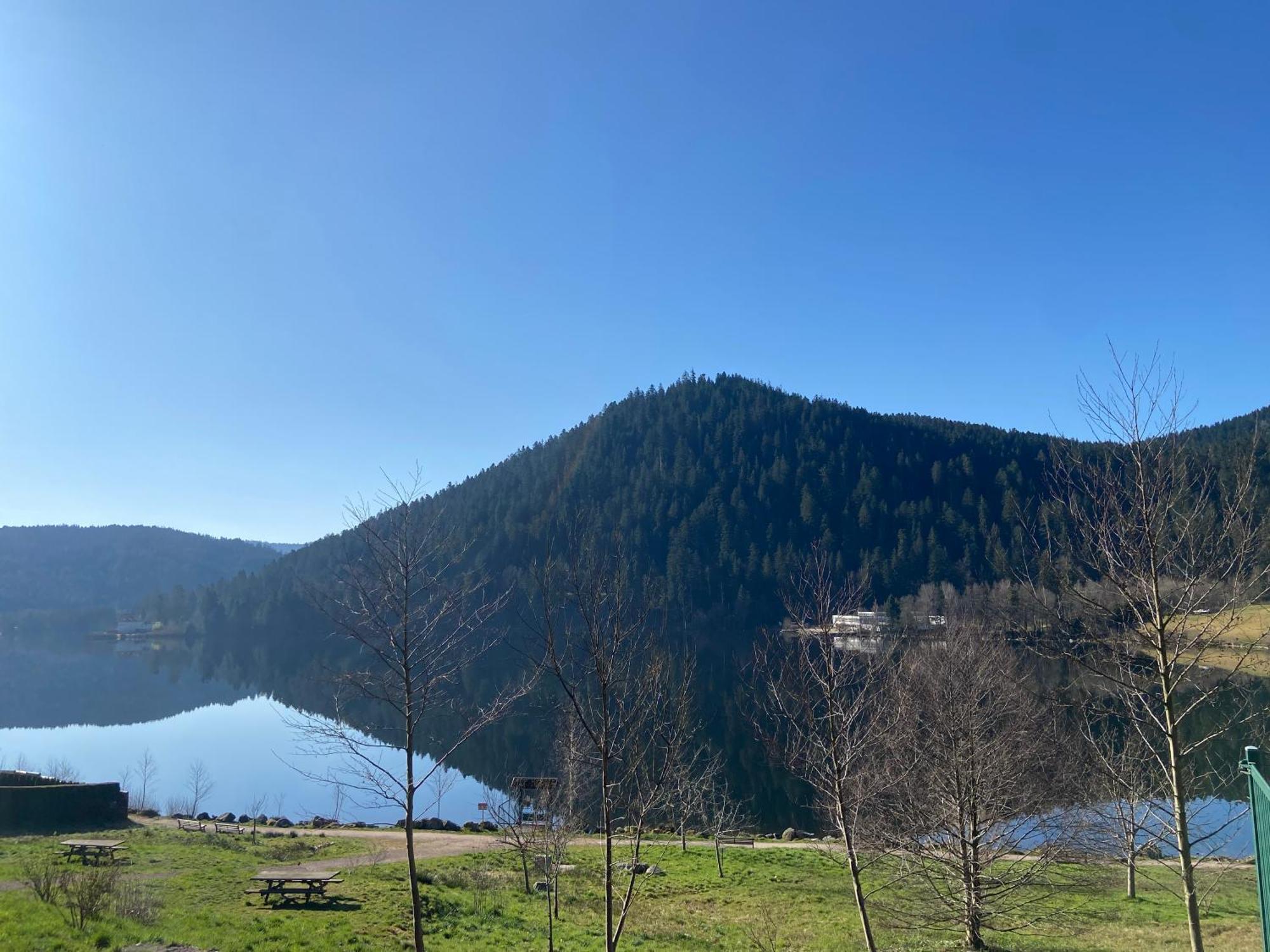 Chalet Authentique Au Calme, En Lisiere De Foret, Montagne, Sentiers 15Mn Gerardmer & Alsace "Chalet Mon Beau Sapin" Anould Eksteriør bilde