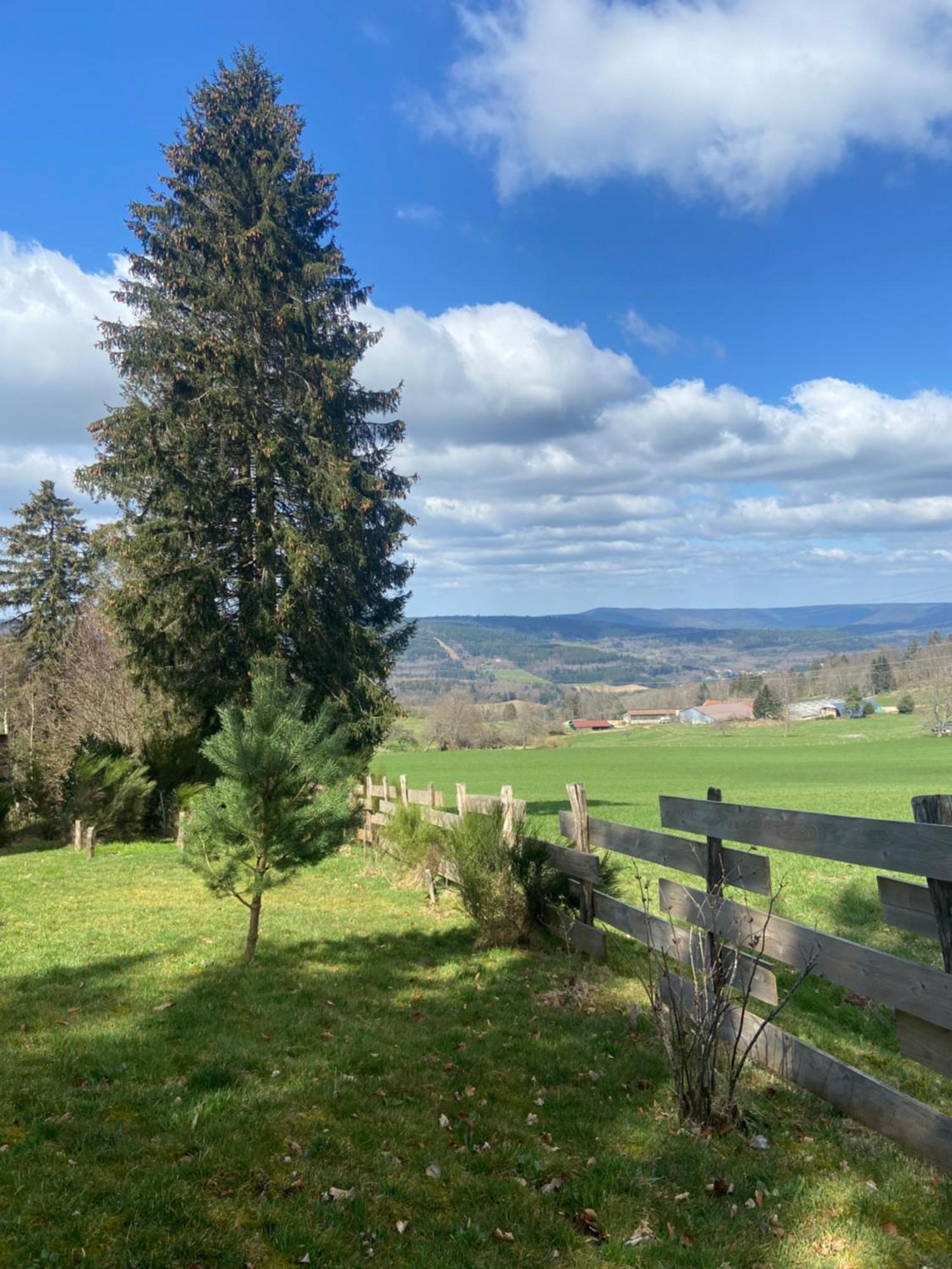 Chalet Authentique Au Calme, En Lisiere De Foret, Montagne, Sentiers 15Mn Gerardmer & Alsace "Chalet Mon Beau Sapin" Anould Eksteriør bilde