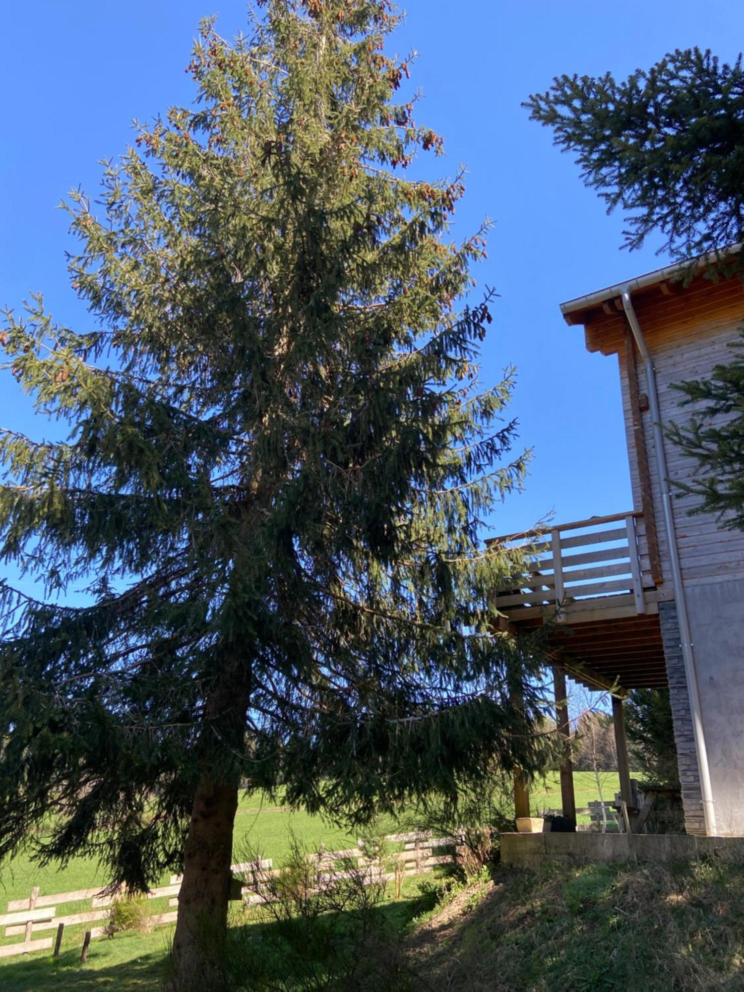 Chalet Authentique Au Calme, En Lisiere De Foret, Montagne, Sentiers 15Mn Gerardmer & Alsace "Chalet Mon Beau Sapin" Anould Eksteriør bilde