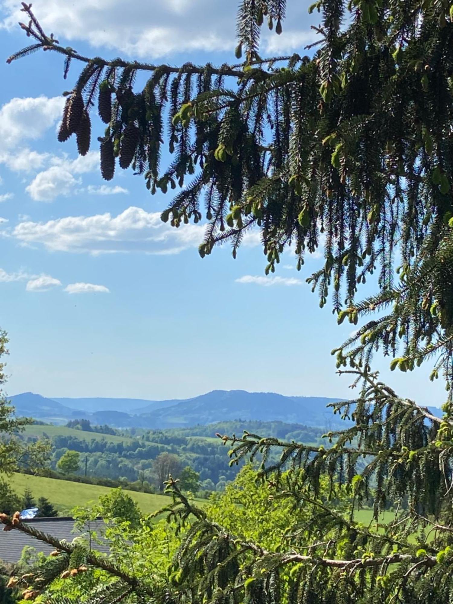 Chalet Authentique Au Calme, En Lisiere De Foret, Montagne, Sentiers 15Mn Gerardmer & Alsace "Chalet Mon Beau Sapin" Anould Eksteriør bilde