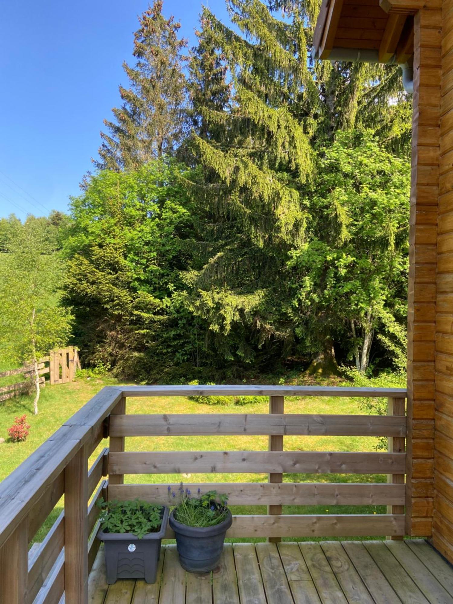 Chalet Authentique Au Calme, En Lisiere De Foret, Montagne, Sentiers 15Mn Gerardmer & Alsace "Chalet Mon Beau Sapin" Anould Eksteriør bilde
